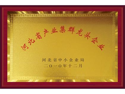 2010年領(lǐng)頭企業(yè)